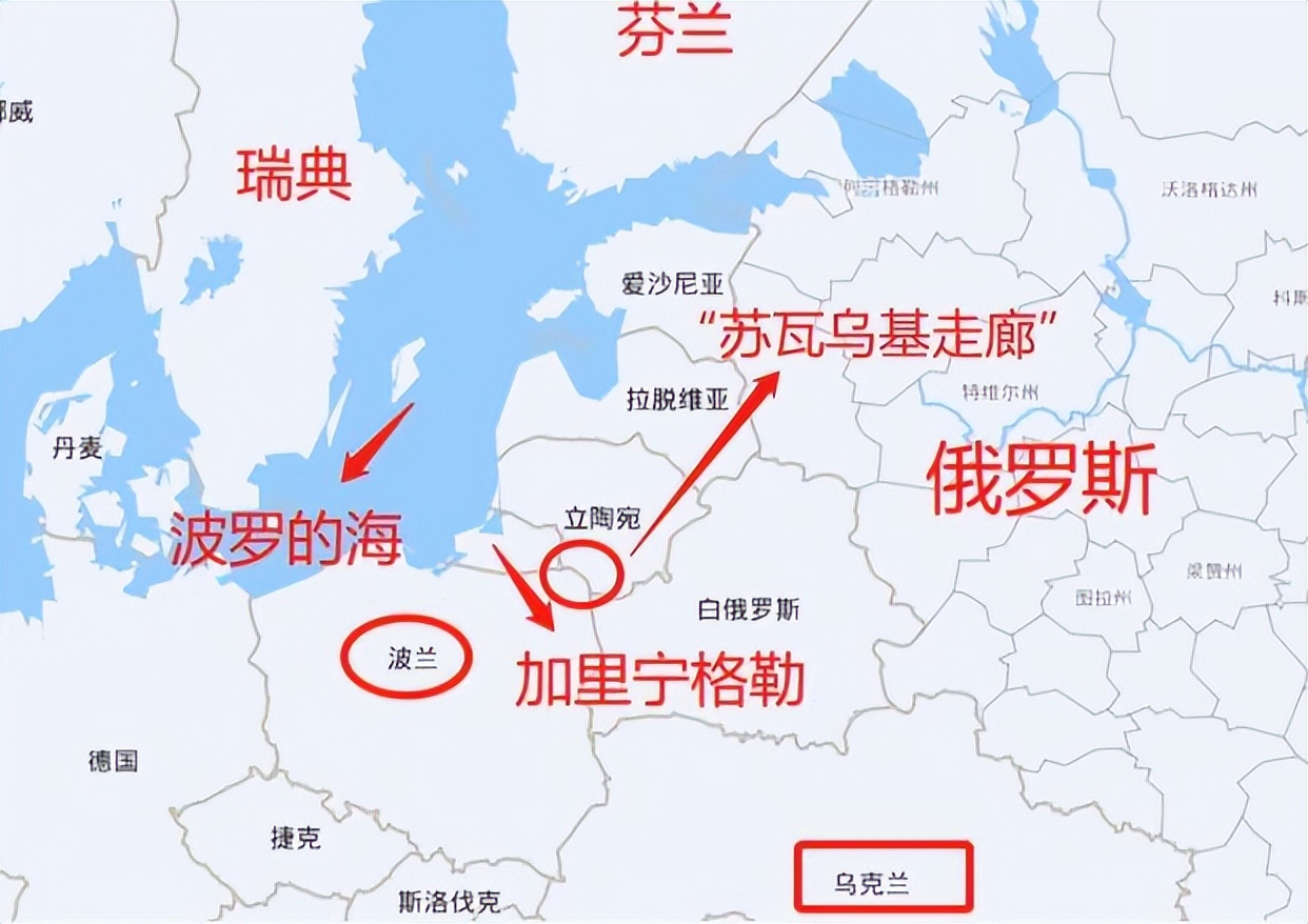 开云官网-波兰胜利，晋级前景一片光明的简单介绍