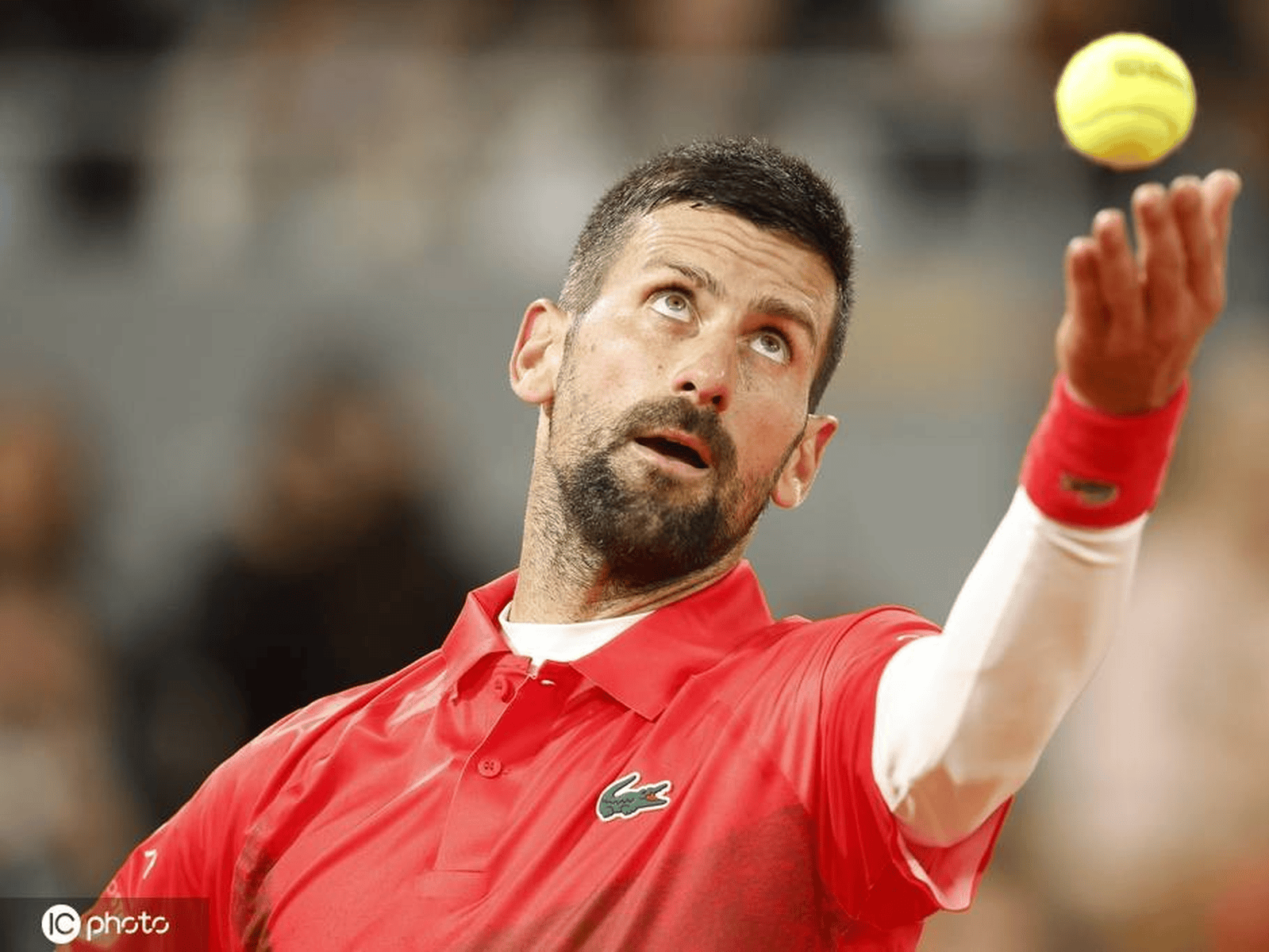 法网碾压拉沃尔杯，德约科维奇统治全场