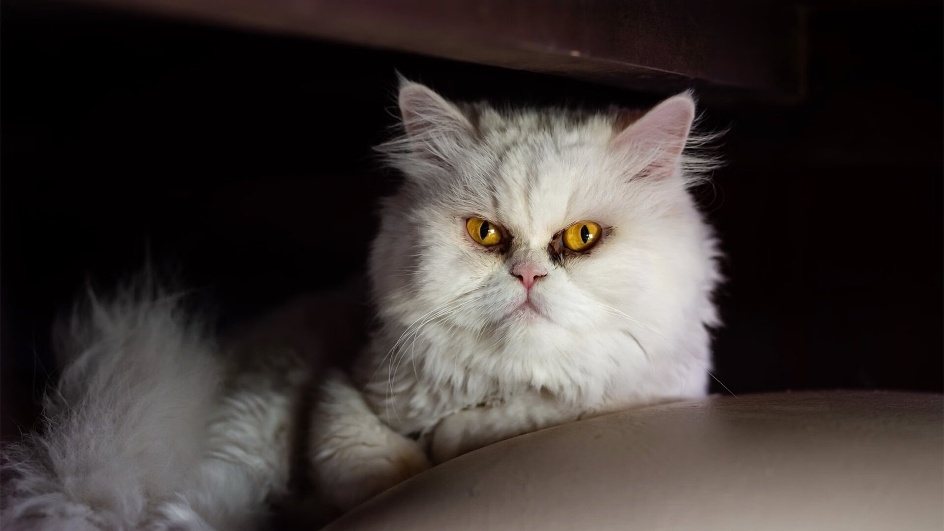 拉开差距的旋律,英格拉姆在活塞与步行者对决中的得分交响曲