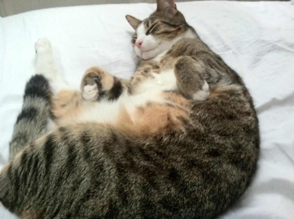 开云体育APP下载-托尼的魔力时刻，莱比锡红牛以压倒性技术流，浇熄沙特沙漠风暴