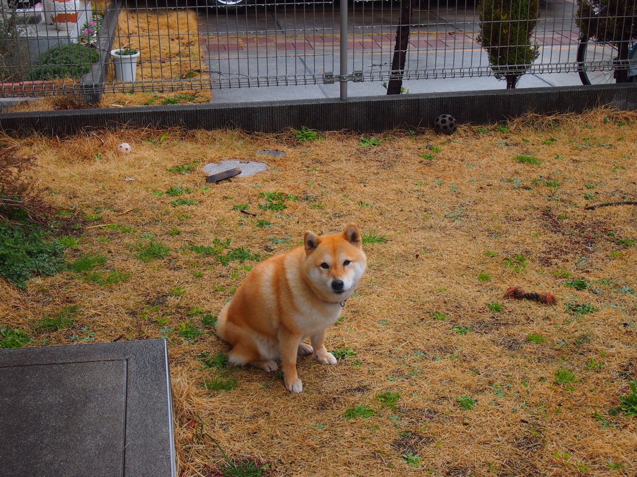 开云体育app-慈善盾上演另类国家德比！几内亚全明星逆转皇家社会，库尔图瓦倒戈成关键先生