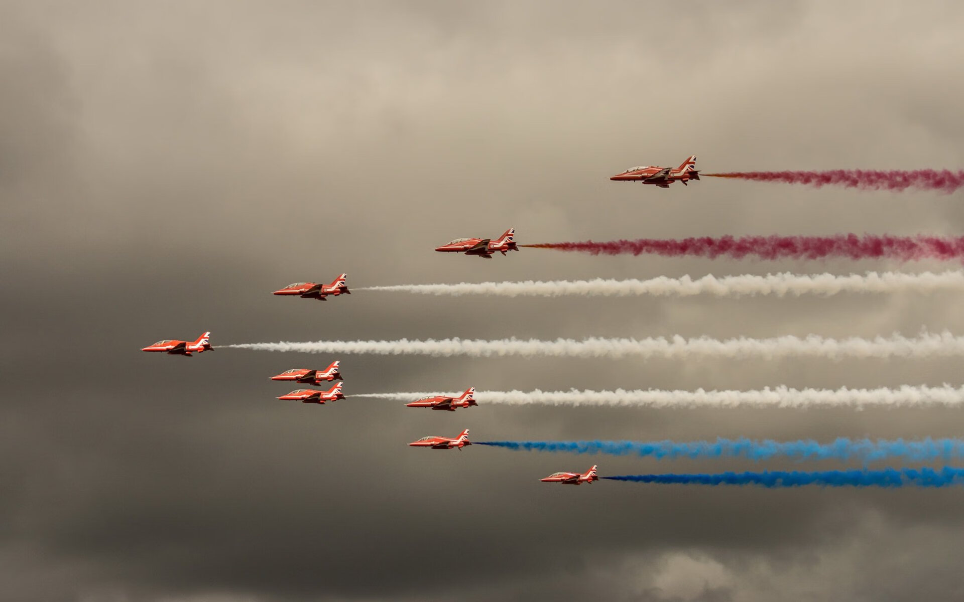 鲸鲨与蜂鸟,两种极致的掌控之道