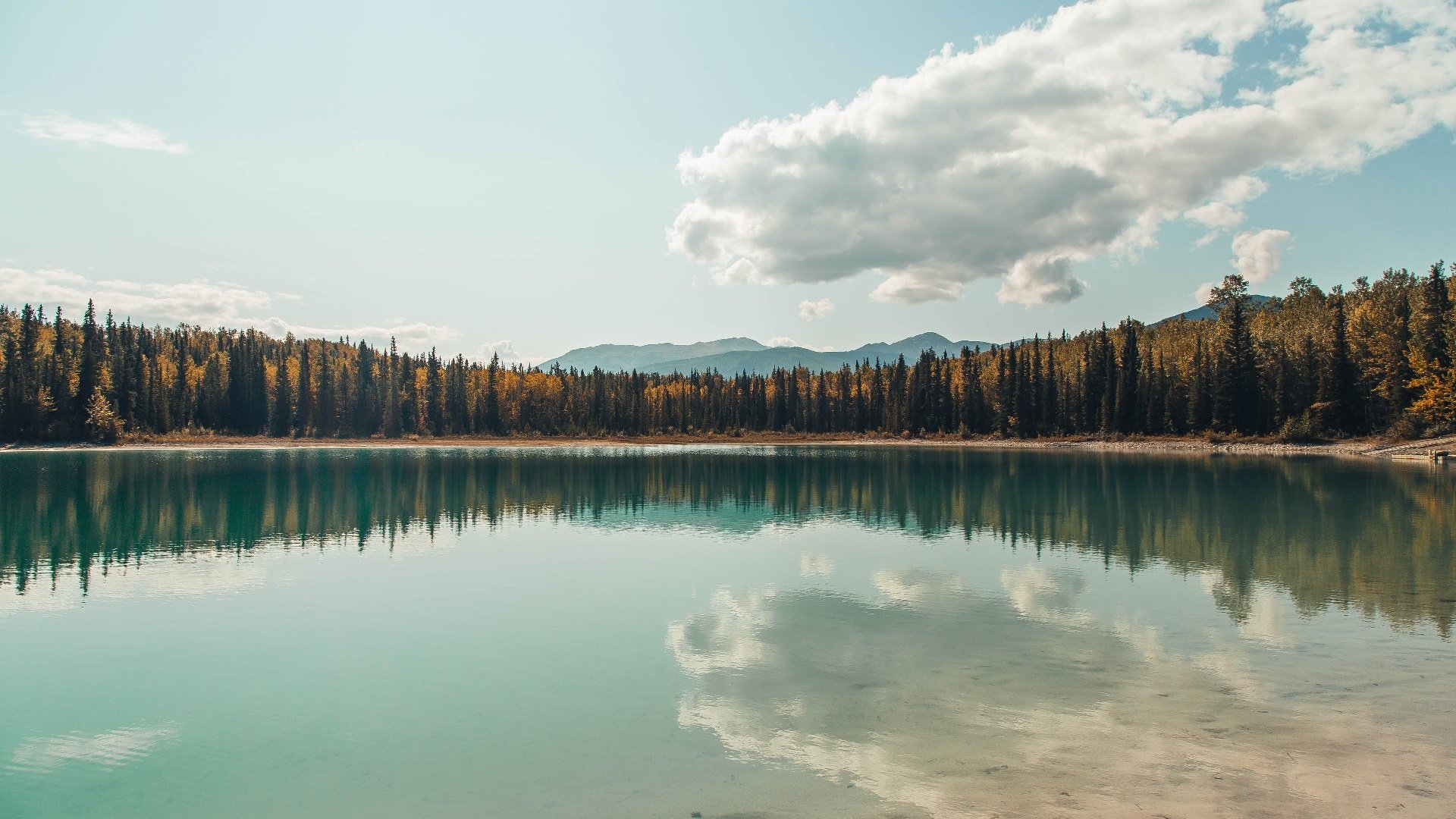 开云下载-刹车决定胜负，从F1揭幕战的极限制动到伊朗队锁定胜局的战术暂停
