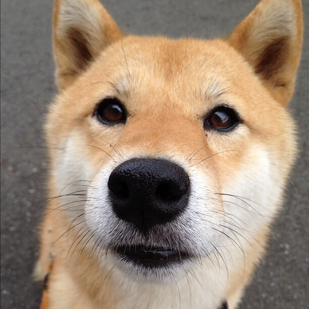 开云APP-跨越大陆的绿茵对话，孙兴慜孤星闪耀，撕裂马里坚韧防线