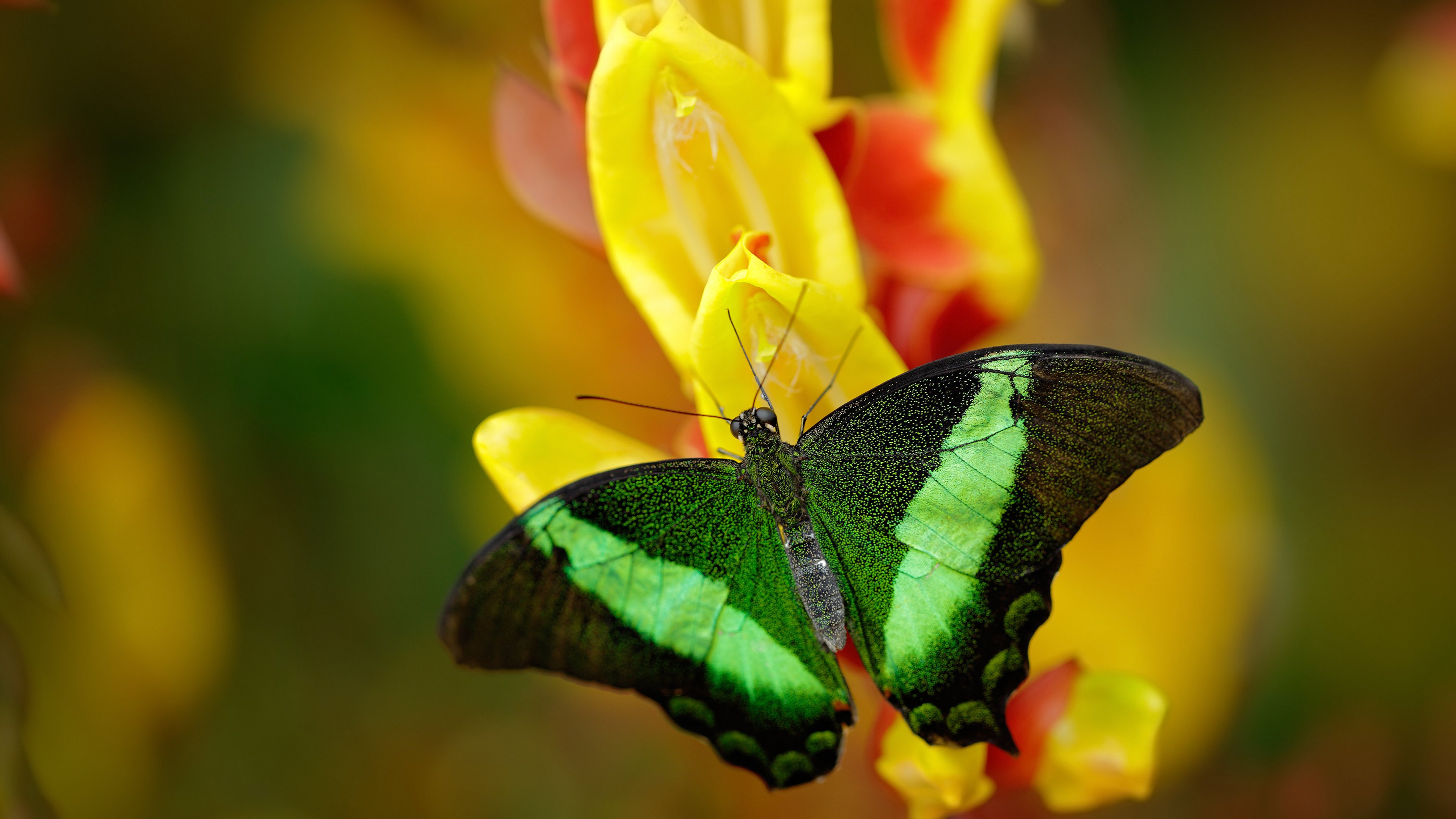 足球的隐秘法则，从里昂的稳到穆勒的狂，决胜时刻为何总是秘密武器？