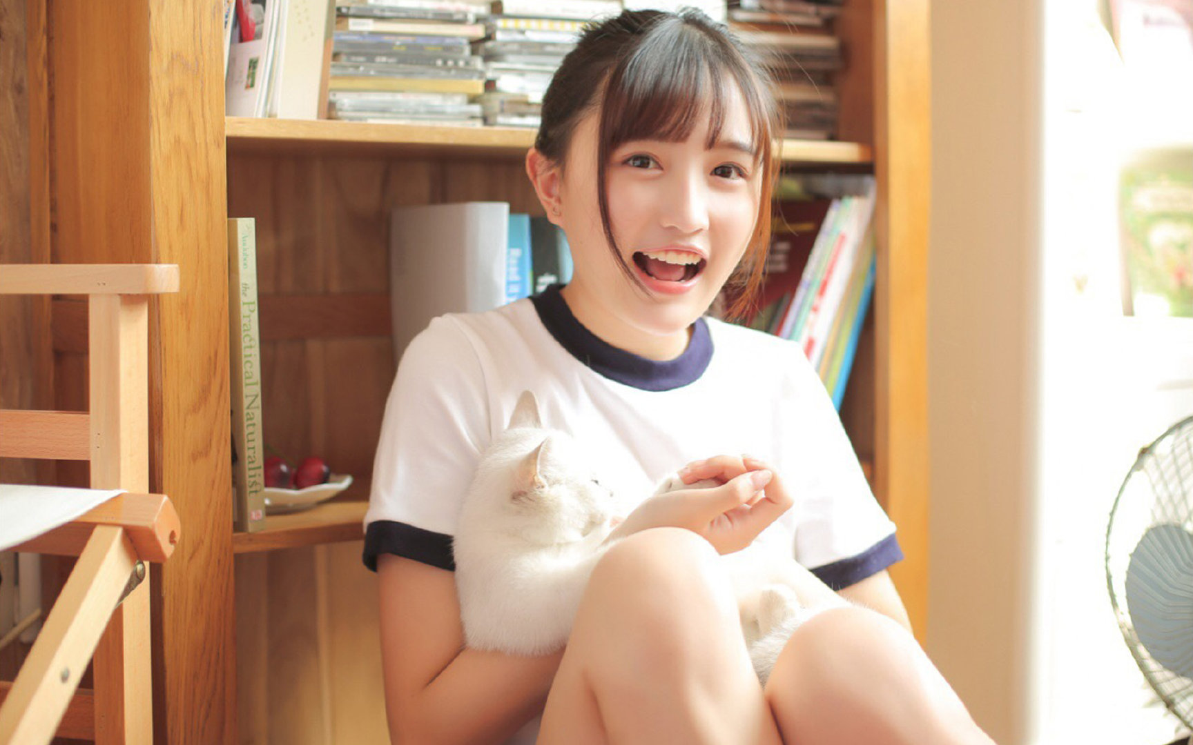 夜幕下的极速艺术，福克斯在F1街道赛的完美乐章