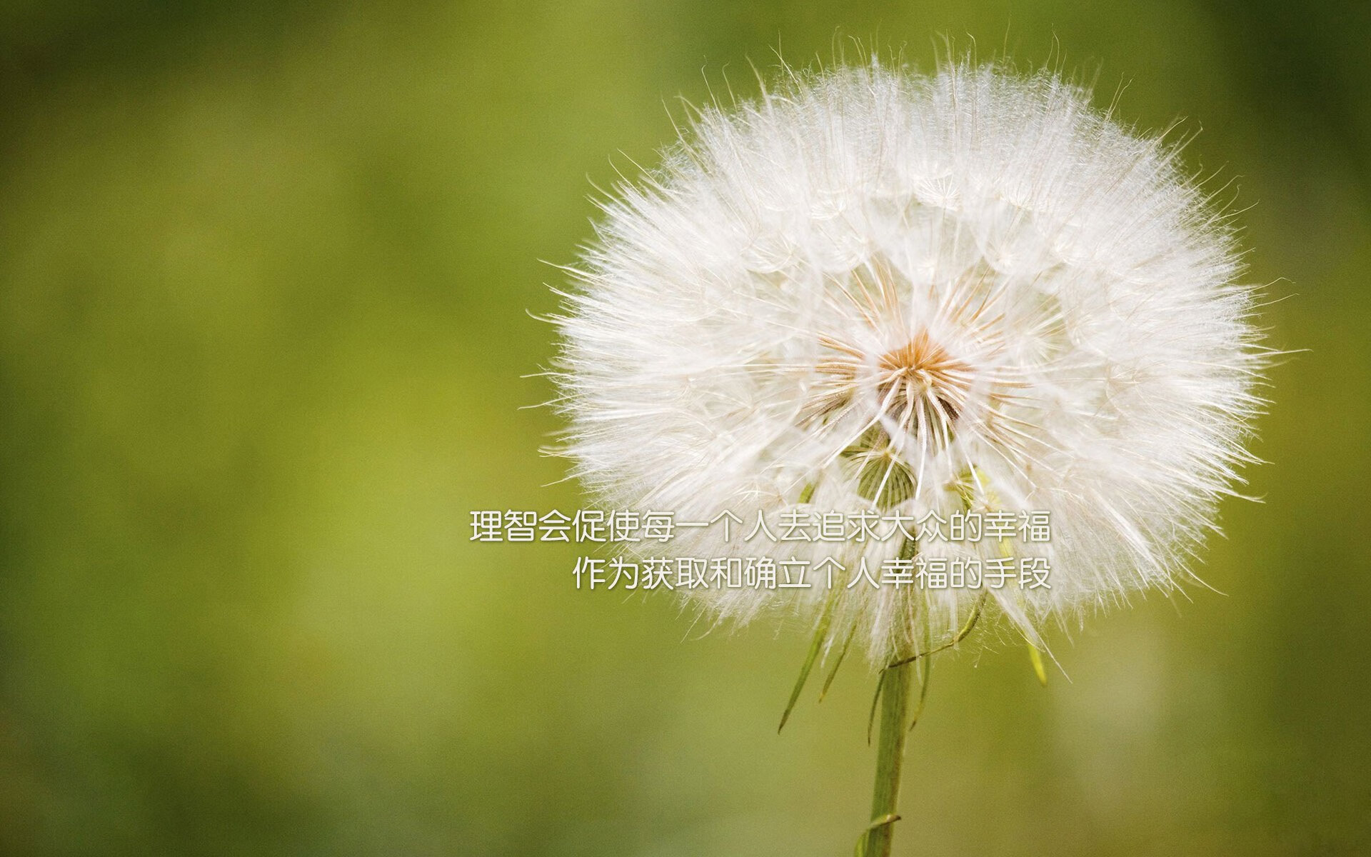 当威尔士铁血遇上德甲精密,阿克在年度焦点战中交出唯一答案