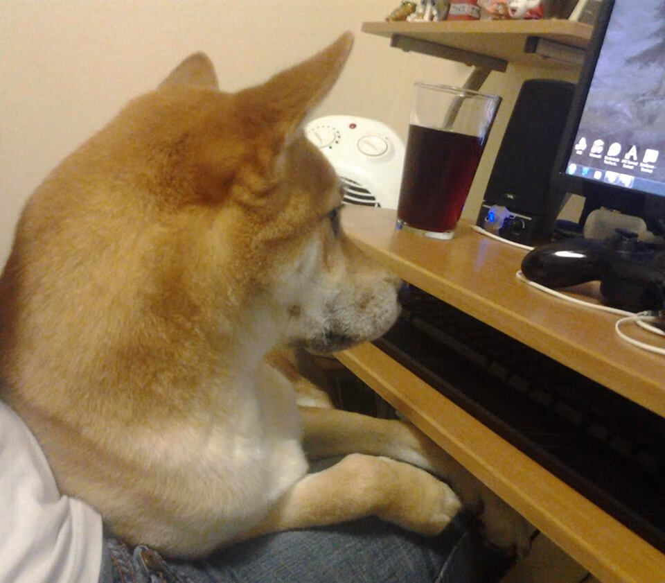 孤鹰啸风城,当英格拉姆的沉寂血脉点燃猎杀时刻