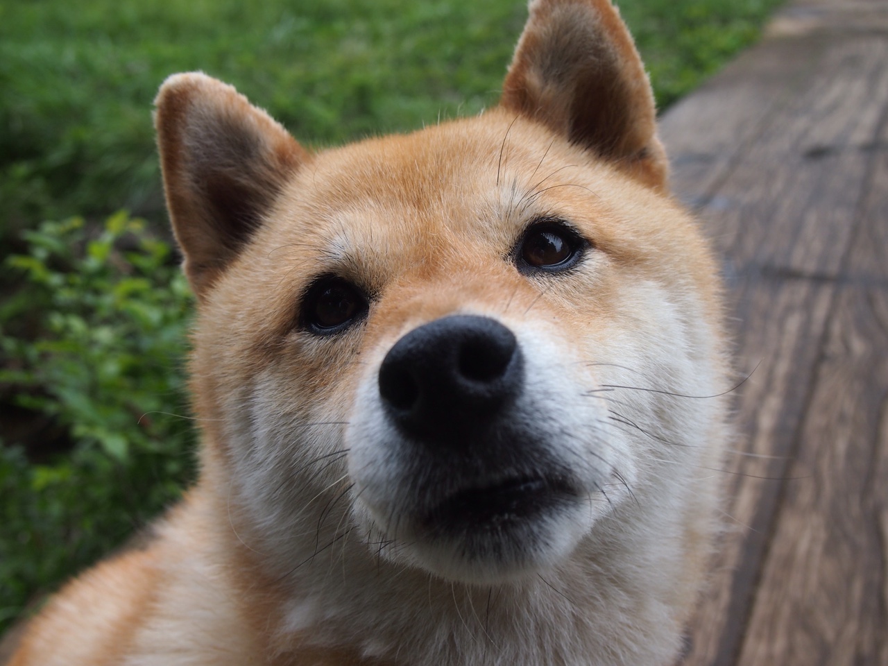 擎天，纽约之王在命运齿轮转动之夜