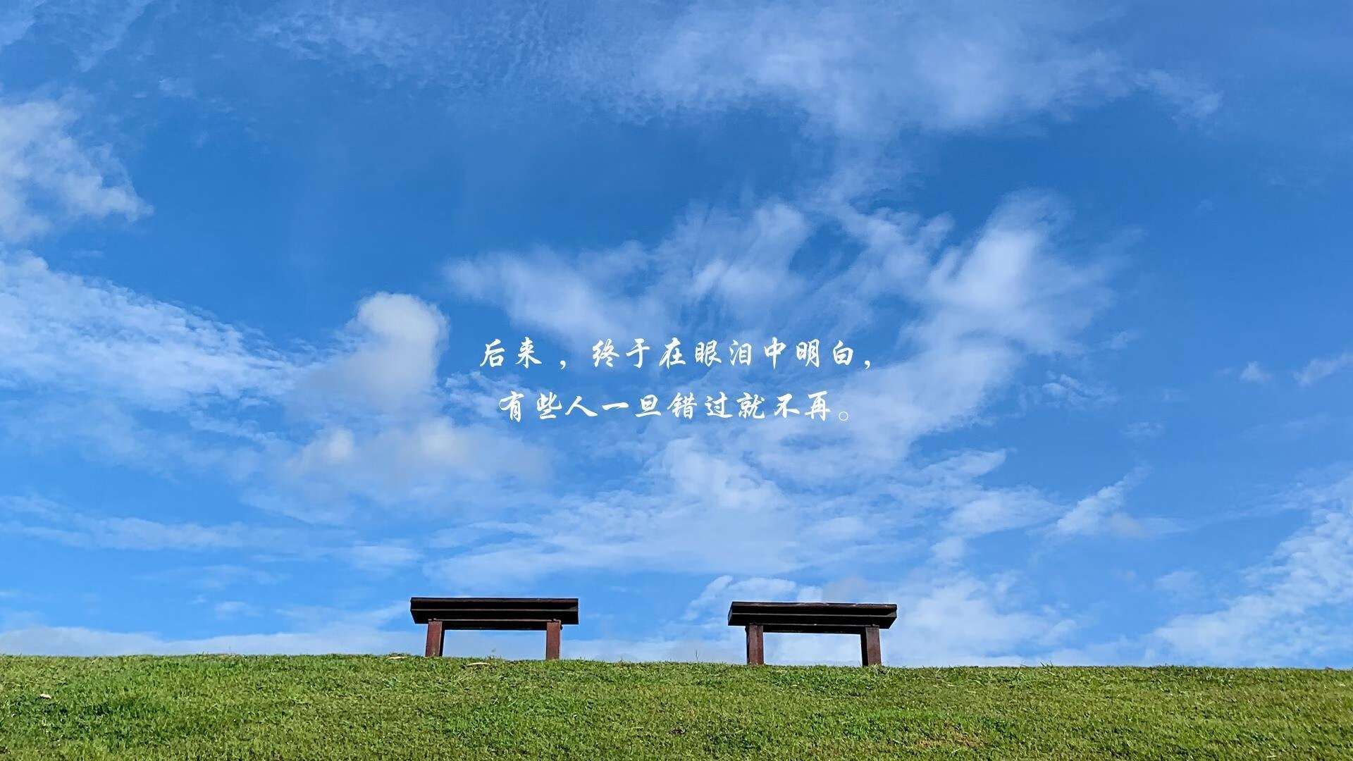 开云体育在线-铁幕下的独角戏，浙江绞肉机如何将黄蜂的抢七神话，碾碎成唯一的血色注脚