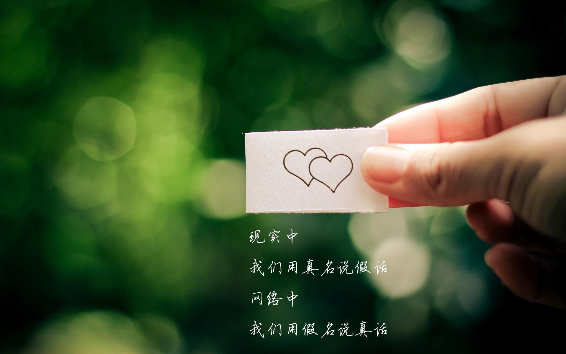 逆转之光，2026世界杯C组焦点战，巴雷拉与奥地利的默契风暴