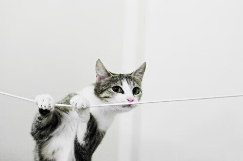 开云体育APP下载-逆转桑巴,那个让整个东亚屏息的35分钟